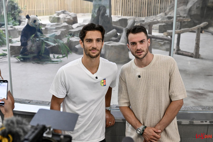 球队战术风 球队战术风